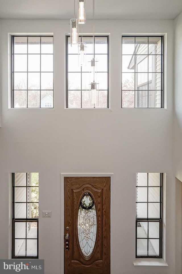 foyer entrance featuring a high ceiling and plenty of natural light