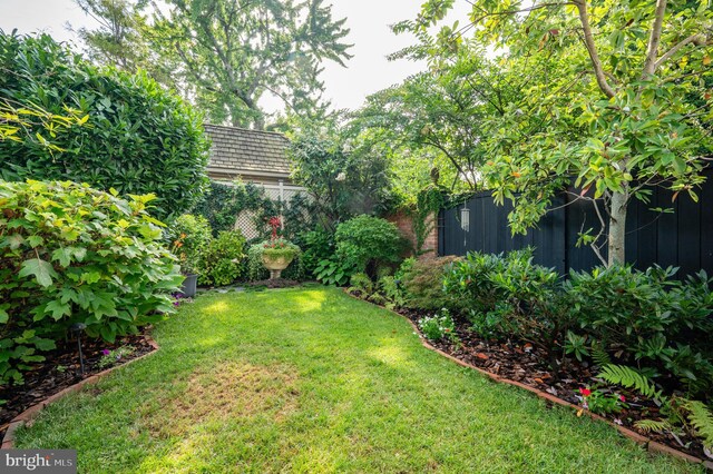 view of yard with a fenced backyard