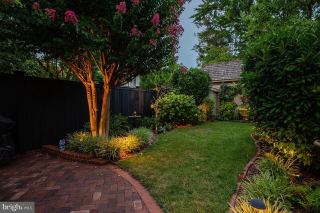 view of yard with a fenced backyard and a patio