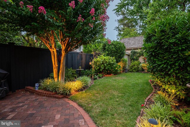view of yard featuring a fenced backyard and a patio