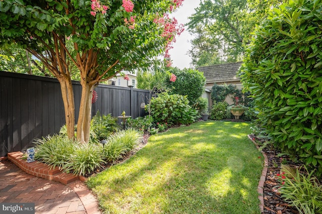 view of yard with a fenced backyard