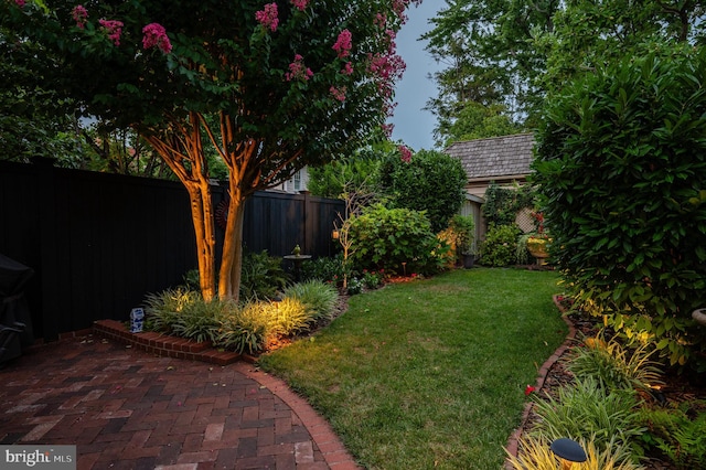 view of yard with a patio and a fenced backyard
