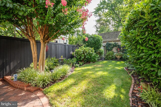 view of yard with a fenced backyard