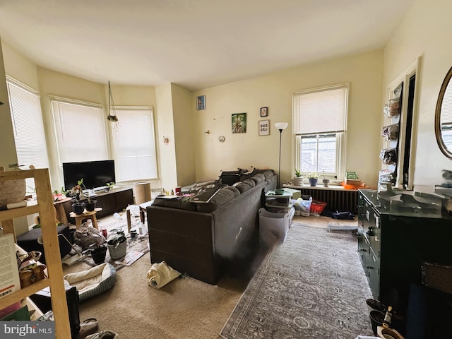 207 E Howard St, Bellefonte, PA 16823 - view of living room