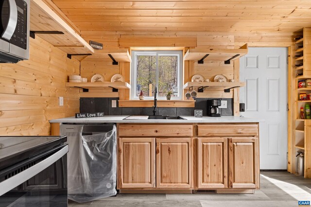 136 Wildwood Ln, Shenandoah, VA 22849 - kitchen featuring a sink, wood walls, appliances with stainless steel finishes, and wood ceiling