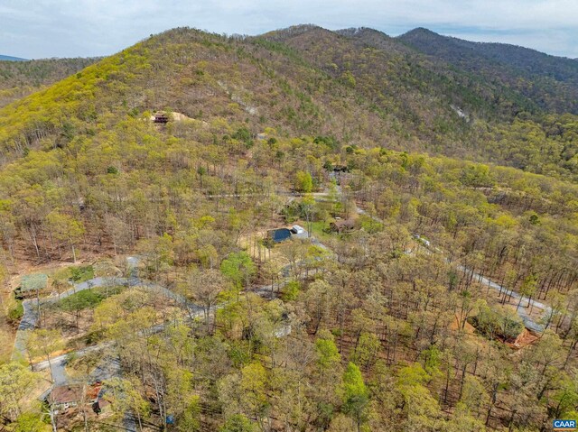 136 Wildwood Ln, Shenandoah, VA 22849 - view of mountain feature featuring a view of trees