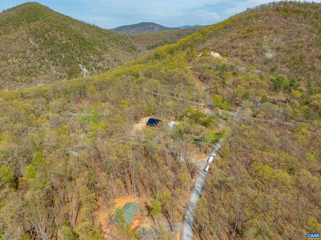 136 Wildwood Ln, Shenandoah, VA 22849 - mountain view with a view of trees