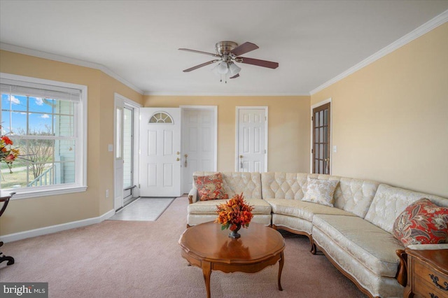 carpeted living area featuring baseboards, a ceiling fan, and ornamental molding
