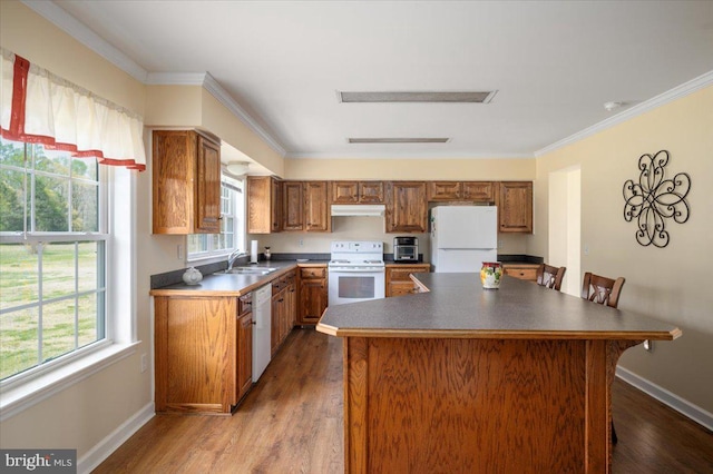 kitchen with under cabinet range hood, white appliances, dark wood-style floors, and a healthy amount of sunlight