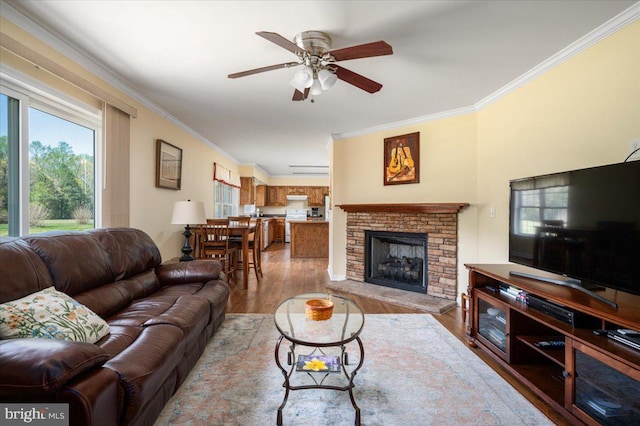 living area featuring wood finished floors, a stone fireplace, crown molding, and ceiling fan