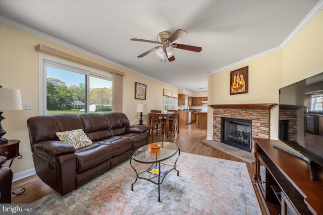 living area with crown molding, a ceiling fan, a fireplace with raised hearth, wood finished floors, and a healthy amount of sunlight