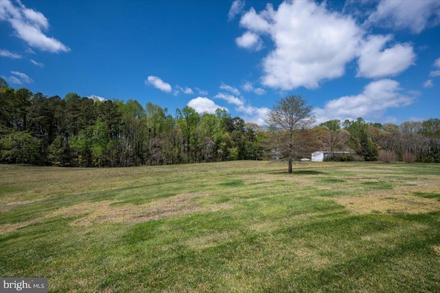 view of yard featuring a rural view and a wooded view