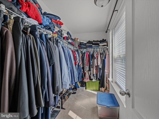 spacious closet featuring carpet