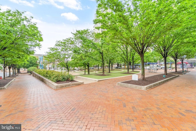 1925 Upper Lake Dr, Reston, VA 20191 - view of surrounding community
