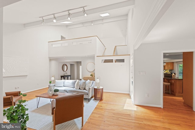 1925 Upper Lake Dr, Reston, VA 20191 - living area featuring light wood-style flooring, baseboards, and a high ceiling