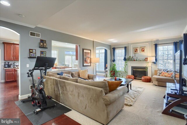704 Goddard Dr, York, PA 17402 - living area with visible vents, arched walkways, a wealth of natural light, crown molding, and a glass covered fireplace