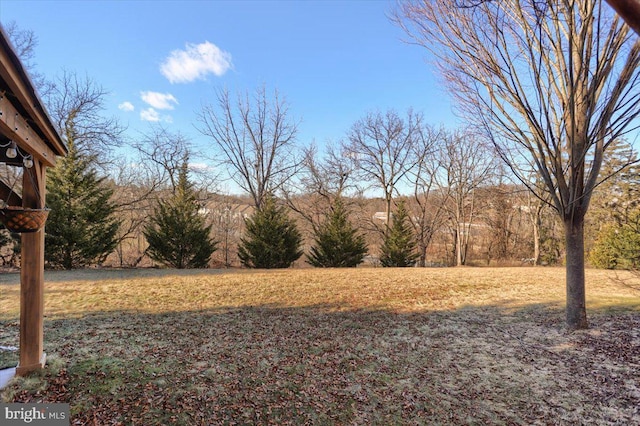 704 Goddard Dr, York, PA 17402 - view of yard