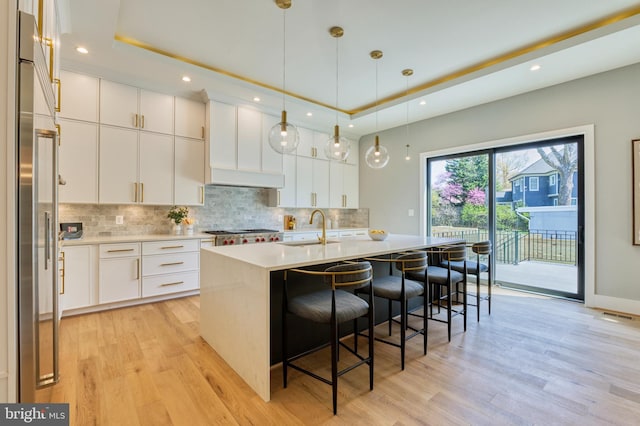 1127 Guilford Ct, Mclean, VA 22101 - kitchen with tasteful backsplash, light wood-type flooring, a sink, and a raised ceiling
