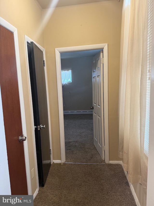 4561 N Camac St, Philadelphia, PA 19140 - hall featuring baseboard heating, crown molding, carpet flooring, and baseboards