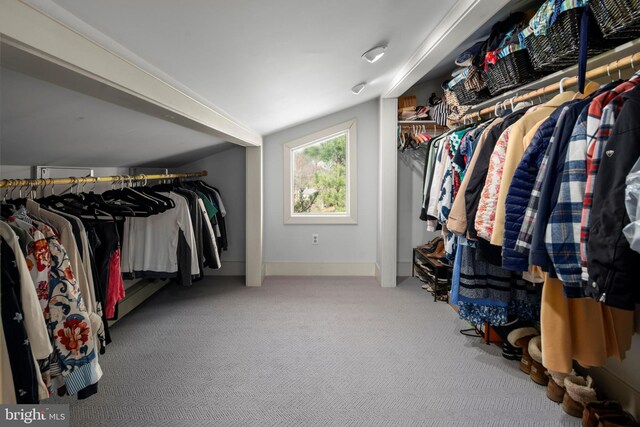 2984 N Sugan Rd, New Hope, PA 18938 - spacious closet with carpet flooring