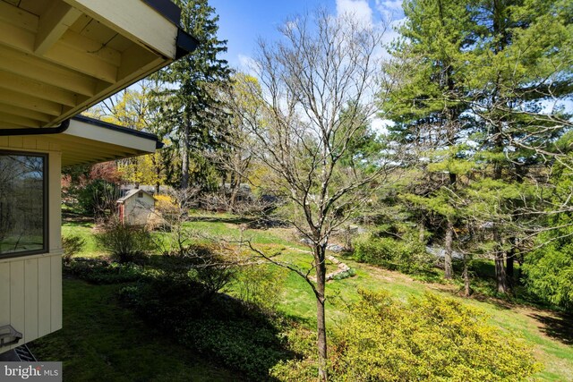 2984 N Sugan Rd, New Hope, PA 18938 - view of yard