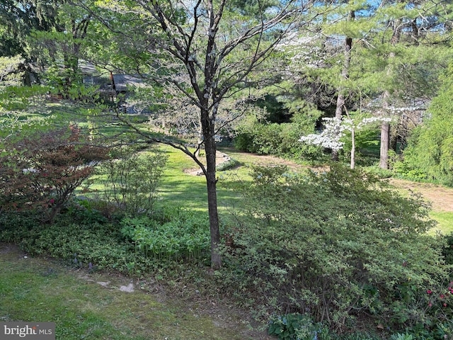 2984 N Sugan Rd, New Hope, PA 18938 - view of yard featuring a wooded view