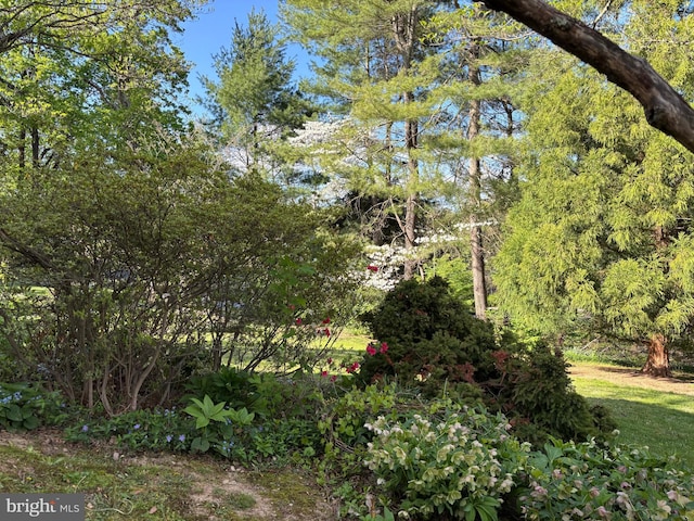 2984 N Sugan Rd, New Hope, PA 18938 - view of nature