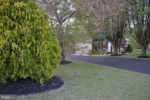 6190 Ayrshire Dr, Salisbury, MD 21801 - view of front facade with a front lawn and asphalt driveway