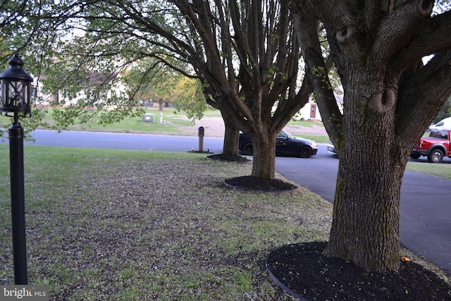 6190 Ayrshire Dr, Salisbury, MD 21801 - view of yard
