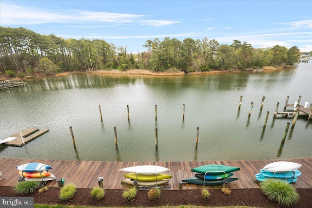 823 Oyster Bay Pl Unit 302, Solomons, MD 20688 - dock featuring a water view