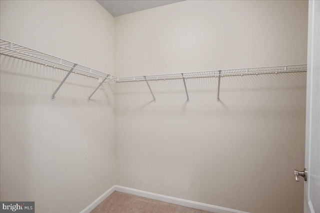 823 Oyster Bay Pl Unit 302, Solomons, MD 20688 - walk in closet with light carpet