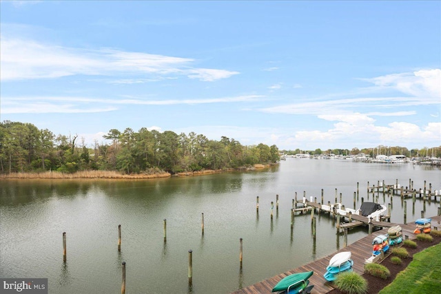 823 Oyster Bay Pl Unit 302, Solomons, MD 20688 - dock area with a water view