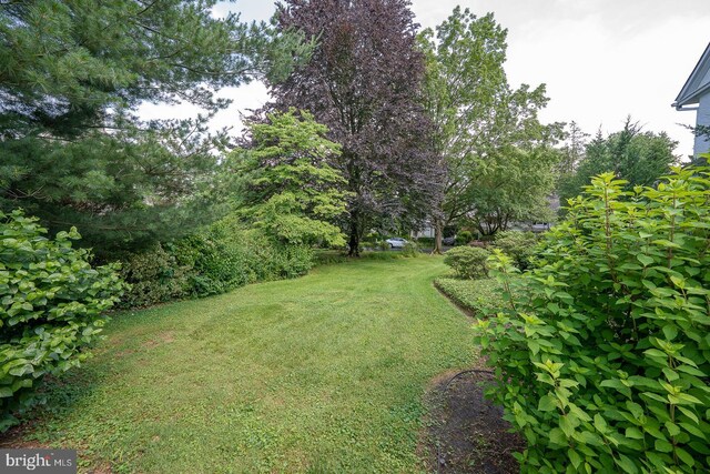 723 S Latches Ln, Merion Station, PA 19066 - view of grassy yard