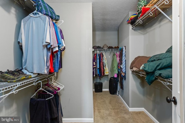 walk in closet with carpet flooring