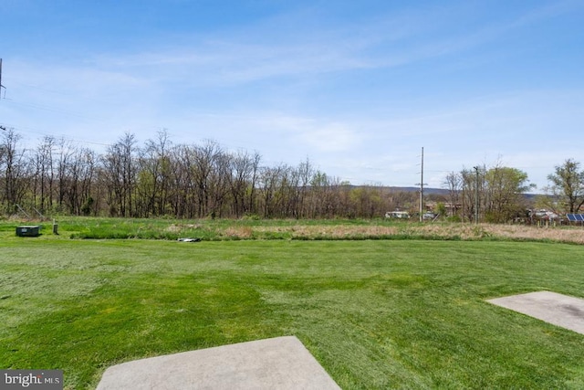 view of yard