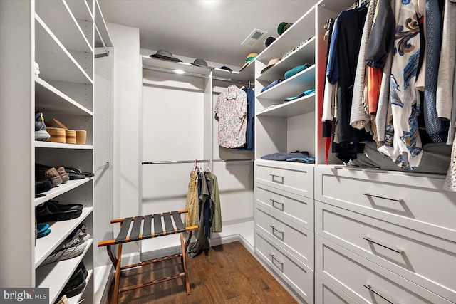 spacious closet featuring dark wood-style flooring