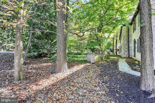 1300 Sand Hill Rd, Hummelstown, PA 17036 - view of yard