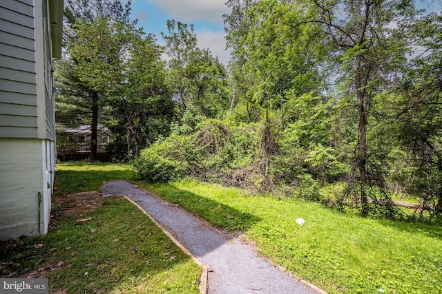 view of yard