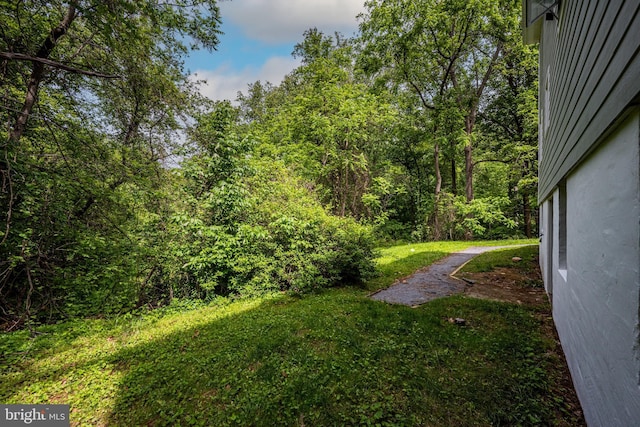 view of green lawn with a view of trees