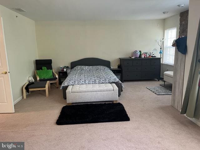 302 Weston Ln Unit 23, New Hope, PA 18938 - view of carpeted bedroom