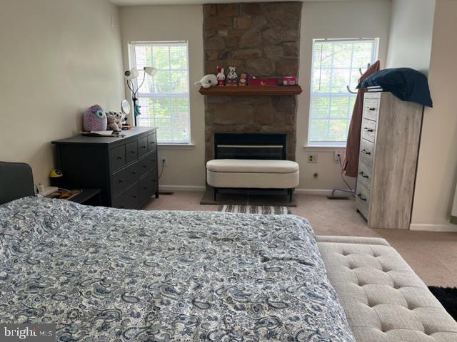 302 Weston Ln Unit 23, New Hope, PA 18938 - bedroom with light carpet, multiple windows, and baseboards