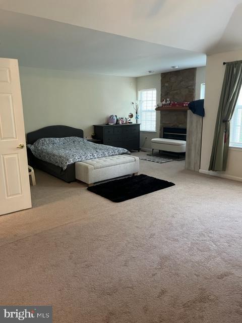 302 Weston Ln Unit 23, New Hope, PA 18938 - bedroom with multiple windows, carpet, and a fireplace