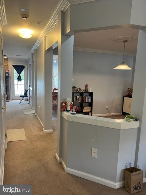 302 Weston Ln Unit 23, New Hope, PA 18938 - corridor with light colored carpet, ornamental molding, and baseboards
