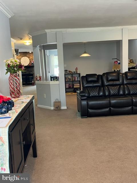 302 Weston Ln Unit 23, New Hope, PA 18938 - living room featuring crown molding and carpet flooring
