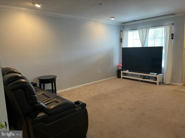 302 Weston Ln Unit 23, New Hope, PA 18938 - living area featuring ornamental molding, carpet flooring, and baseboards