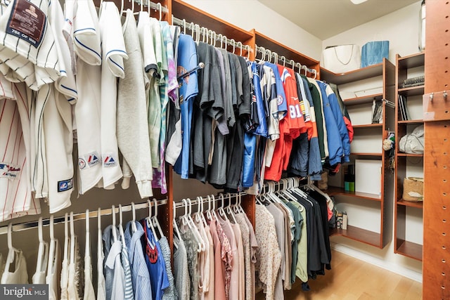 29 Sparrow Dr, Hamilton, NJ 08690 - spacious closet featuring wood finished floors