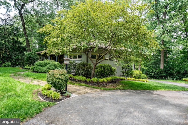 142 Woodside Rd, Lancaster, PA 17601 - view of obstructed view of property