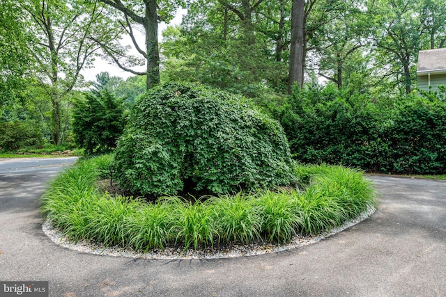 142 Woodside Rd, Lancaster, PA 17601 - view of street