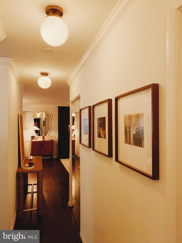 7910 Bayberry Dr, Alexandria, VA 22306 - corridor with ornamental molding and dark wood-style flooring