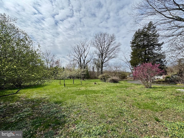 view of yard